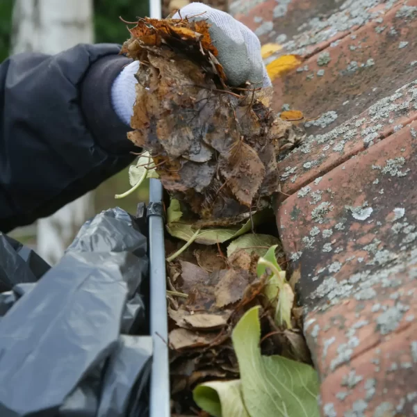 Cleaning the gutter from autumn leaves before winter season. Roo